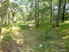 CollectionObject 1591414; 6ba8e355-0164-4e00-8909-5b66b8eef68f: BG: Strandzha Mts, Slivarovo vill., habitat. (CollectionObject).;CollectionObject 1591415; 8f472217-aa88-45fd-95ef-56a2462598b9: BG: Strandzha Mts, Slivarovo vill., habitat. (CollectionObject).