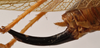 CollectionObject 1534717; 86706976-902c-4b4e-9edf-83cb5cf39104: female ovipositor (syntype). (CollectionObject).