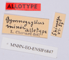 CollectionObject 1594398; 932f9df6-83b6-4bfc-9559-79c8120e562e: labels (allotype). (CollectionObject).