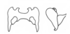 Akamasacris variabilis (Scudder, 1897): epiphallus, dorsal and lateral view. (Otu).