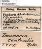 CollectionObject 1500612; fcc4c47c-8a00-4079-8fdf-0711d5a2edd6: labels (holotype). (CollectionObject).