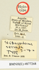 CollectionObject 1518334; 3af02417-bfe4-4881-bdfc-75745a304929: female, labels (holotype). (CollectionObject).