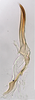 Aedeagus, lateral view: !! display not done !! on Maiestas viraktamathi Zahniser, McKamey & Dmitriev, 2012: Aedeagus, lateral view. (Observation).