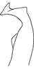 Stylus on Erythridula inconspicua (Johnson, 1935): Stylus (holotype of E. inconspicua Johnson). (Observation).