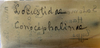 CollectionObject 1539592; 61d3cdd0-06d7-4ea5-8d9e-b10716e13897: label (holotype of Salomona haani). (CollectionObject).