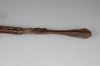 CollectionObject 1556975; b896c180-471c-4a8d-b0c1-e07fda41ccd0: copyright ZSMC, Munich. female: end of abdomen, ventral view (paratype). (CollectionObject).;CollectionObject 1556976; aea37043-5945-4aee-a93e-30b84a4defd9: copyright ZSMC, Munich. female: end of abdomen, ventral view (paratype). (CollectionObject).