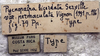 labels (holotype of permaculata). Depicts CollectionObject 1539801; f2065e3d-673c-41b6-81db-e433bb3e4acc, a CollectionObject.