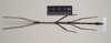 CollectionObject 1559490; dea99648-272c-4cb4-ad25-8011f635fffe: copyright Natural History Museum, London. male of synonym Lonchodes megabeast (paratype). (CollectionObject).;CollectionObject 1559491; 4fdcf7e7-ecb2-4223-a4b5-815c99f9356c: copyright Natural History Museum, London. male of synonym Lonchodes megabeast (paratype). (CollectionObject).;CollectionObject 1559492; fc7b68d4-ed99-4214-bd2d-ce4ab7982dba: copyright Natural History Museum, London. male of synonym Lonchodes megabeast (paratype). (CollectionObject).