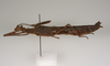 CollectionObject 1562392; abaa87b7-baa2-468f-b2ff-49941447bd88: copyright ZMUH, Hamburg. female, lateral view (holotype). (CollectionObject).
