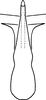 Aedeagus, ventral view: Aedeagus (holotype), ventral view. (Observation).