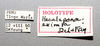 Other on Carapona eximia (DeLong & Freytag, 1975): Male holotype [NCSU]: labels. (Observation).