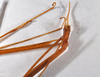 CollectionObject 1557901; 33eec9cd-c3a8-429a-843c-45738f348399: copyright ZMHB, Berlin. female: head & thorax (holotype). (CollectionObject).