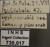 Other: !! display not done !! on Diplocolenus (Diplocolenus) bohemanni (Zetterstedt, 1837): Labels. Labels for the specimen used for the dorsal, lateral and face images. (Observation).