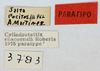 CollectionObject 1565520; MLP3783/4-5', 0522a1f3-41a4-478f-8c56-055fcc4a89ec: labels (paratype). (CollectionObject).