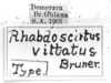 CollectionObject 1521522; 0bf30b91-8f5e-4d2d-9cad-aacd66faa96c: Image Carbonell, C.S. labels (holotype). (CollectionObject).