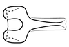 Connective on Pseudocostanana rubromarginata (Domahovski & Cavichioli, 2023): Male holotype [DZUP]: connective, dorsal view. (Observation).