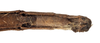CollectionObject 1557920; NMW 399, dfa1cd39-21cc-4686-b77b-45cdce2c79b8: copyright NHMW, Vienna. female Gratidia bituberculata: end of abdomen, ventral view (syntype). (CollectionObject).