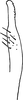 Stylus: Stylus. (Observation).