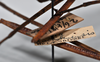 CollectionObject 1558581; 5094e634-967d-4141-83cf-733a7e174ce9: copyright NTUC. female, data labels, view 2 (syntype). (CollectionObject).;CollectionObject 1558582; 20db8149-d18d-4462-8167-11f604b61075: copyright NTUC. female, data labels, view 2 (syntype). (CollectionObject).