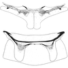 Abdomen, sternal apodemes, ventral view: !! display not done !! on Streptanus (Streptanus) sordidus (Zetterstedt, 1828): Abdomen, sternal apodemes, ventral view (male). (Observation).