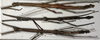 CollectionObject 1591711; NMW 74''', 1c314021-b4ad-42f9-b9a6-2f3e3535509e: copyright NMW. male (lectotype) in centre, and female (paralectotypes). (CollectionObject).