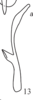 Stylus on Cordela rubra Gnezdilov, 2019: (Observation).