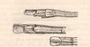 CollectionObject 1559061; 8be5ed4c-40c8-4e65-8047-58761340bb1f: Figs. from Sjöstedt, 1918 - end of abdomen in synonym Hyrtacus cylindricus (syntype) - note, refers to male [in error]. (CollectionObject).;CollectionObject 1559062; b79553f4-80e7-43ad-91d8-98a29676820f: Figs. from Sjöstedt, 1918 - end of abdomen in synonym Hyrtacus cylindricus (syntype) - note, refers to male [in error]. (CollectionObject).