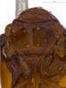 Head on Anormenis umbrosa (Melichar, 1902) now Anormenis nigrolimbata (Fowler, 1900): (Observation).