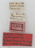CollectionObject 1522526; f2bcfbee-67b5-41ed-8dd7-885de5910825: labels. (CollectionObject).