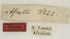 CollectionObject 1529733; 56738053-1ee8-455b-a7f7-dc78c1e24cb7: labels (holotype). (CollectionObject).