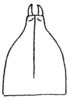 Callimenellus fumidus Walker, 1871: Fig. 158 (same as Fig. 154 in Beier 1954). male subgenital plate (5 mm, styli 0.8 mm). (Otu).