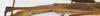 CollectionObject 1582871; cd47629a-ff2a-422c-bfdf-eb2cbb1d24de: female, hind femur lateral view (paratype). (CollectionObject).
