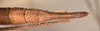 CollectionObject 1560287; 39f9c2f8-46d5-47f7-a05c-5db2c414b514: copyright OUMNH. female: end of abdomen, dorsal view (syntype). (CollectionObject).