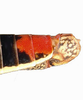 Pygofer, lateral view on Cuerna angusta Nielson, 1965: Caudal abdomen, lateral view. Mexico, Zacatecas, INHS. (Observation).