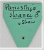 CollectionObject 1618752; dcd10f26-cdd6-4524-ac27-44ba4b9088a9: (CollectionObject).