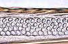 Ovipositor: Stirellus bicolor, 1st valvula dorsal sculpturing (INHS). (Observation).