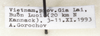 CollectionObject 1577055; e685f425-6bab-4823-994d-956cd6254cff: copyright ZIN, St. Petersburg. male, data label (holotype). (CollectionObject).