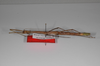 CollectionObject 1562893; 219fcfd6-0ec7-4980-b0b7-7b6696ed48c1: copyright ZSMC, Munich. female, lateral view (paratype). (CollectionObject).