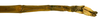 CollectionObject 1567607; c186bc43-a406-4dd2-bd95-e7cf8fc38a5b: copyright Brussels. male: end of abdomen, ventral view (paratype). (CollectionObject).;CollectionObject 1567608; 9f20d4e0-ad33-40ba-bea8-18b1a1f859c3: copyright Brussels. male: end of abdomen, ventral view (paratype). (CollectionObject).