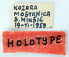 labels (holotype of Miramella bosnica Miksic, 1969). Depicts CollectionObject 1543444; 12af16bc-ec2d-4acf-9a1d-3850ec525ed1, a CollectionObject.