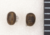 Sipyloidea larryi Hasenpusch & Brock, 2007: copyright Paul D. Brock. egg: dorsal and lateral views (scale bar, 1mm). (Otu).
