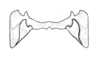 Argemiacris platicercis Ronderos, 1978: Fig. 48. epiphallus, dorsal view. (Otu).