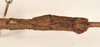 CollectionObject 1558464; 265a6e3d-8035-485c-aba9-aec681d49b9a: copyright OUMNH. male: end of abdomen, dorsal view (syntype). (CollectionObject).;CollectionObject 1558465; d166c98e-8403-4894-9ef3-61957b4ef40b: copyright OUMNH. male: end of abdomen, dorsal view (syntype). (CollectionObject).