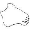 Pygofer, lateral view on Brazosa larocai Zanol, 1989: Pygofer, lateral view. (Observation).