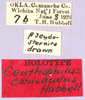 CollectionObject 1499228; 8317952d-cdaf-4dc6-811b-192f7f8707c7: labels (holotype). (CollectionObject).