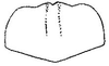 Ovipositor on Atanus albidus (DeLong & Hershberger, 1947): Sternite VII. (Observation).