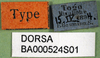 CollectionObject 1502276; 62f34ee0-68e8-4df0-bbee-89e939cd6d90: labels (syntype). (CollectionObject).