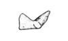 Bogotacris varicolor (Stål, 1878): Fig. 24. male cercus. (Otu).