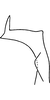 Stylus: Stylus. (Observation).