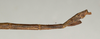 CollectionObject 1558106; NMW 784, bccb79e8-f64e-4c56-b362-a1d611afa0bc: copyright NMW, Vienna. male: end of abdomen, lateral view (syntype). (CollectionObject).